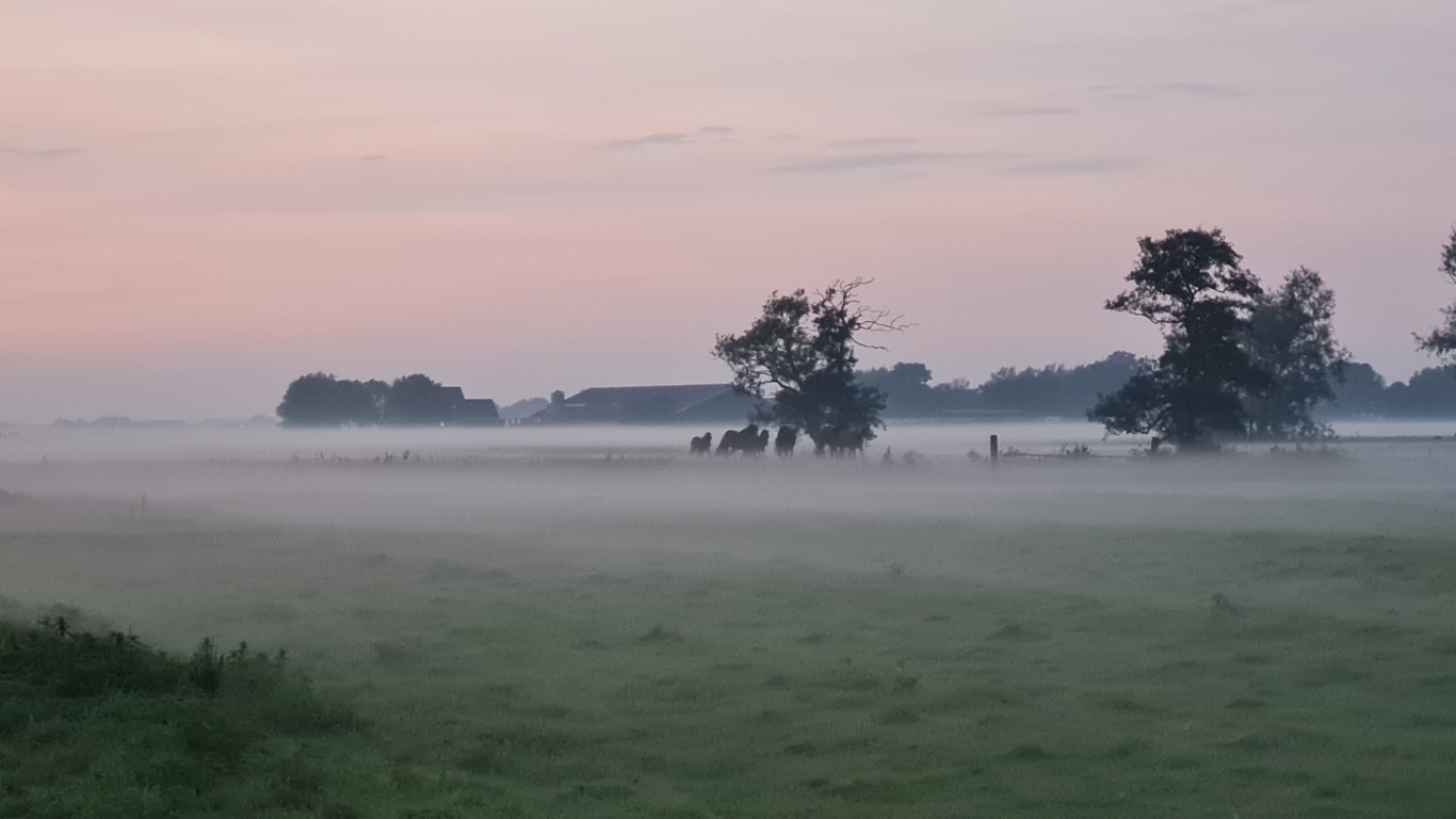 2021-09-26 19.43.22 (Aangepast)